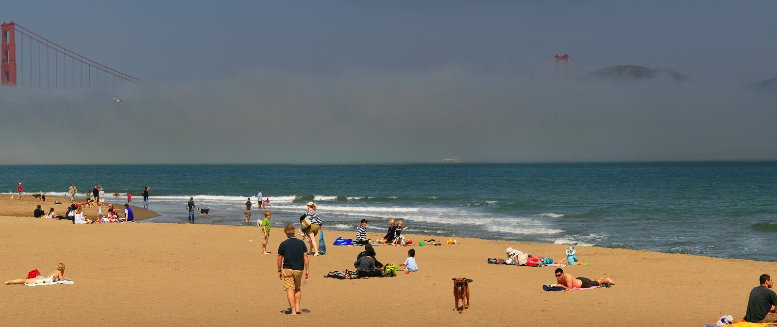 People on Crissy Field beach below a fog-shrouded Golden Gate Bridge